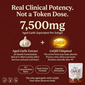 Gilby's Aged Odorless Garlic + CoQ10