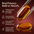 Gilby's Aged Odorless Garlic + CoQ10